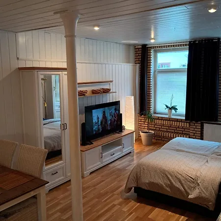 Damm 10 * Пайне