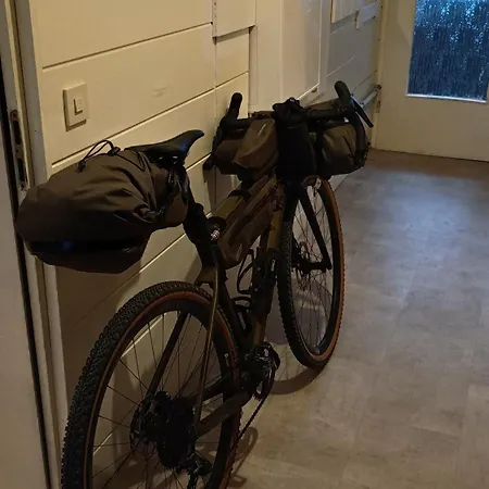 Damm 10 * Пайне